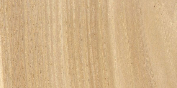 Sample wood - hickory