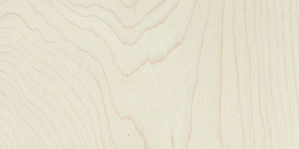 Sample wood - maple