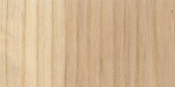 Sample wood - white ash